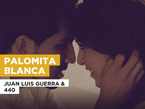 Palomita Blanca al estilo de Juan Luis Guerra & 440