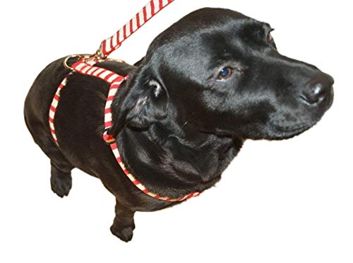 Banded Holdings Avery Boaters Dog Parka Timber Small