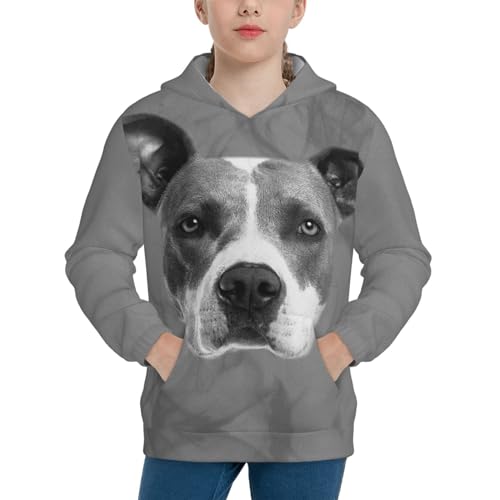 Grey Dog Boy, Girls Sports Shirt Youth Pullover Fashion Hooded Sweatshirt3