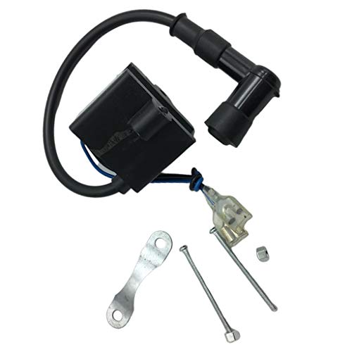 D DOLITY Black Capacitor Discharge Ignition - CDI - Coil/Performance CDI Electron Ignition Coil for 50cc/80cc Gas Motorized Bicycle