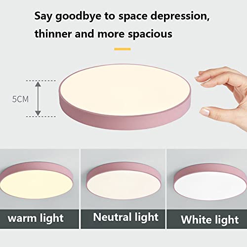 Plafonnier LED mince de 1,9 pouce avec éclairage tricolore à intensité variable - 5