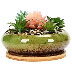 CNAFGBGG 1 ST Succulente Plant Pot 6×2.2 inch Bonsai Pot met Dienblad Ondiepe Succulente Plantenbakken Ronde Geglazuurde Keramische Potten voor Planten met Drainage