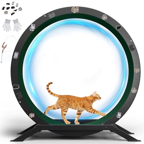 GTPLAYER Roue pour Chat, Roue d'exercice pour Chat, XL- 100 cm, Ultra-silencieuse avec Tapis Amovible, Autocollants, système de Verrouillage, métal, Vert,...
