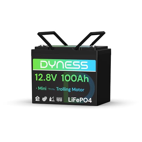 Dyness Batería de Litio 12V 100Ah, Batería LiFePO4 12V para Kayak con BMS 100A, Protección contra Bajas Temperaturas, para Sistemas Solares, Barcos, Caravanas, Camping