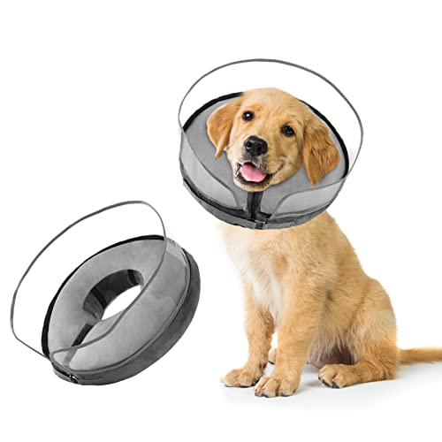 I Tested the Well and Good Inflatable Collar and Here's What I Thought