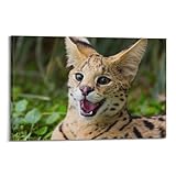 WPHSFX Poster animal Leptailurus Serval Serval - Impression sur toile murale moderne pour chambre à coucher - 40 x 60 cm