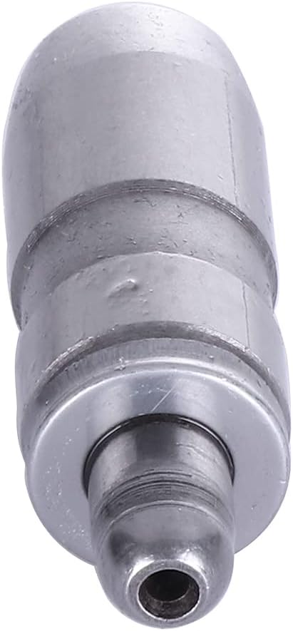 ECCPP 16X Automotive Engine Hydraulic Valve Lifter for 2003-2008 for E-150 1997-2002 for E-150 Econoline 2003-2005 for E-150 Club Wagon 2003-2005 for E-150 Club Wagon Lash Adjusters JB-2271