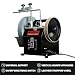 BUCKTOOL 250mm Wet Bench Grinder, 180W Wet Stone Sharpener System