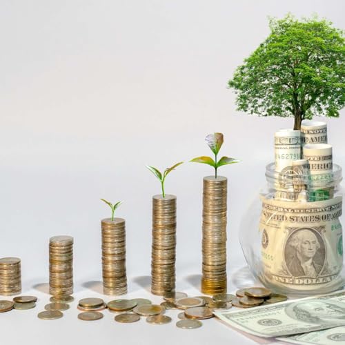 What to Do with a Raise or Bonus: 6 Smart Money Moves cover art