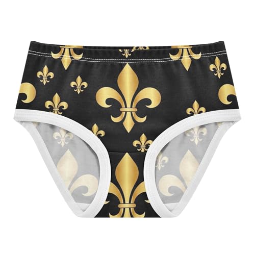 Cotton Toddler Underwear Floral Gold Fleur Mardi Gras Black Panties Little Girl Funny Briefs Kids Undies 2t