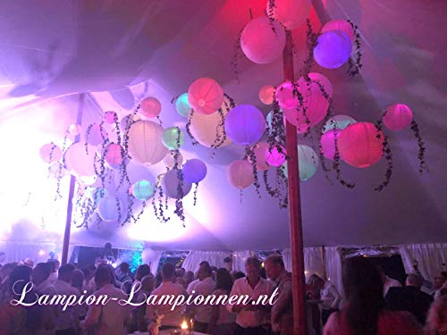 10 x Lampions ignifuges Blanc de 25 cms, rétardateur de Flamme