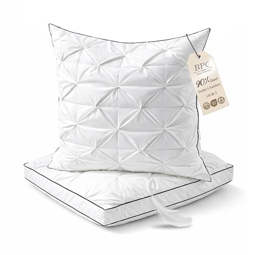 BPC Oreiller en Duvet 60x60 cm Lot de 2, Coussin 3 Chambres avec 90% Duvet extérieur et garnissage Contenant des Plumes, Moelleux et Soutien équilibré, Housse 100% Coton Bio, Lavable en Machine