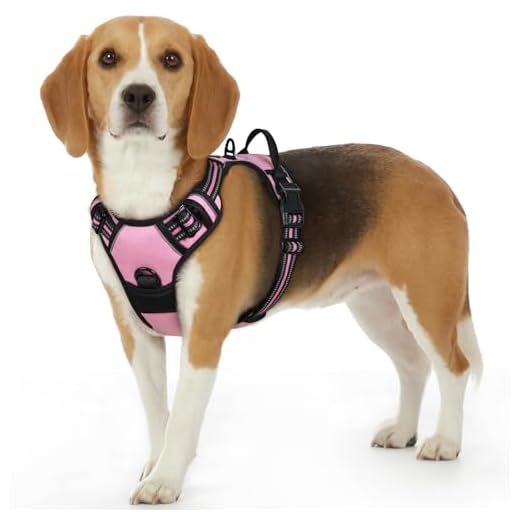Eagloo Hundegeschirr Geschirr für Kleine und Mittlere Hunde Anti Zug Brustgeschirr No Pull Sicherheitsgeschirr Auto Dog Harness Labrador Welpengeschirr Joggen Ausbruchsicher Weich Gepolstert Rosa S