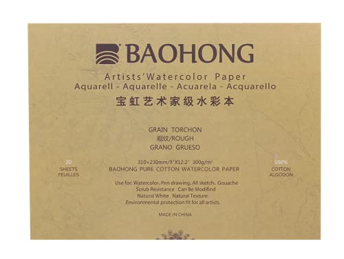BAOHONG Artists' Watercolor Paper Block (20 Sheets, glued on Four Edges), 100% Cotton, Acid-Free, 140LB/300GSM, Watercolor Art Supplies for Wet, Dry, and Mixed Media Painting (Rough Grain 9