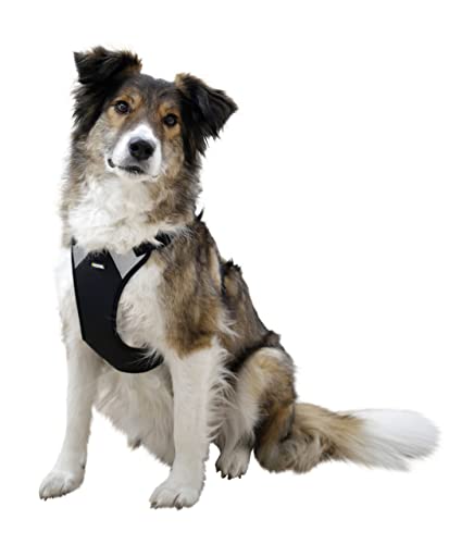 Kerbl Pet Harness Pulsive, black, 96 schwarz - Image 2
