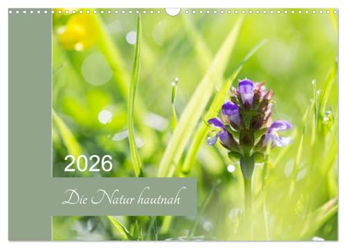 Die Natur hautnah (Wandkalender 2026 DIN A3 quer), CALVENDO Monatskalender: Pflanzendetails - die kleinen Dinge ganz groß. (CALVENDO Natur)