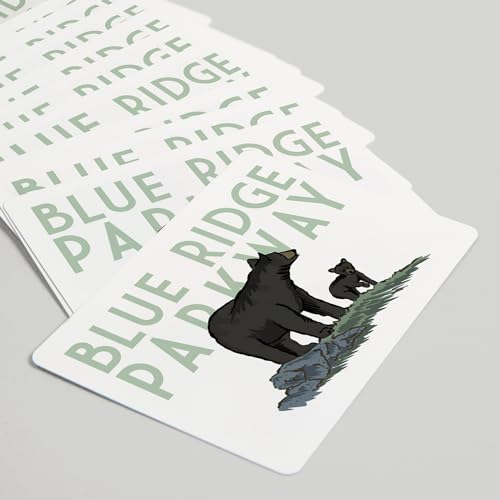 Lantern Press Blue Ridge Parkway, Black Bear and Cub, 52 cartas póker miniatura 5