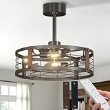 Passky 20 Inch Farmhouse Caged Ceiling Fans with Lights and Remote, Black Downrod Mount Bladeless Fandelier, 6 Speeds Bladeless Ceiling Fan Light for Bedroom, Kitchen, Living Room, Indoor