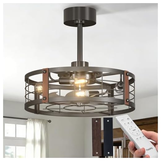 Passky 20" Caged Ceiling Fans with Lights and Remote, Downrod Fandelier