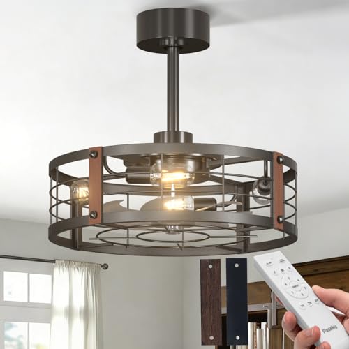 Image of Passky 20 Inch Farmhouse Caged Ceiling Fans with Lights and Remote, Black Downrod Mount Bladeless Fandelier, 6 Speeds Bladeless Ceiling Fan Light for Bedroom, Kitchen, Living Room, Indoor