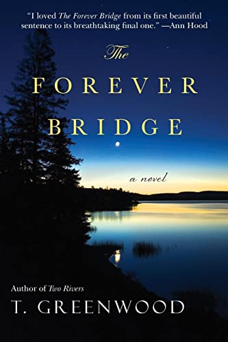The Forever Bridge view 2