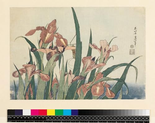 Impression Iris et Grasshopper Hokusai art mural de qualité