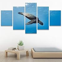 SIGNWIN 5 Panel Canvas Wall Art Modern Art Multicolor Nautical Photography Relax/Calm Reptiles Turtle for Home Decorations Ready to Hang - 60