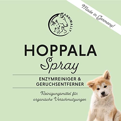 Annimally Enzymreiniger Spray 750ml gegen Katzenurin & Hundeurin XXL Packung - Tier Geruchsentferner gegen Urin Geruch - Enzym Flecken- und Geruchsentferner