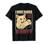 Gato Mordaz Mano Rabia Divertido Japón Japonés