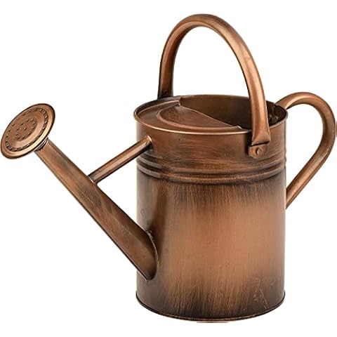 Metal Watering Can for Outdoor and Indoor Plants, 1 Gallon Cover