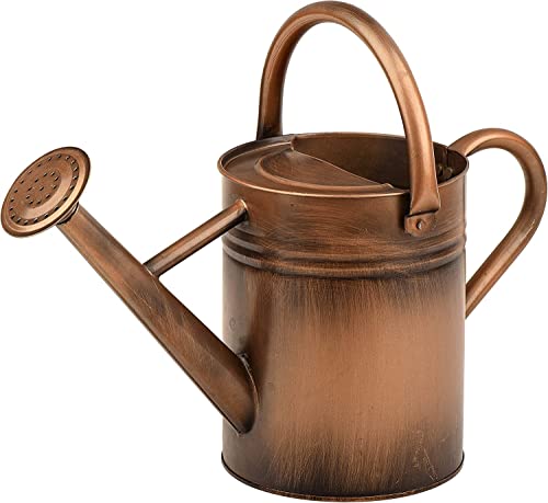 SunnyTong Metal Watering Can for Outdoor and Indoor Plants Watering Can Decor 1 Gallon (1 Gallon Copper)