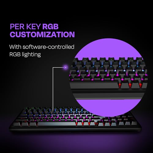 Image of Kreo Hive Wired Full Size RGB Backlight Gaming Mechanical Keyboard, Customizable RGB, Mechanical Switches,5-Pin Hot Swap, NKRO, Metal Volume Knob, All Black Keycaps (All Black, Blue Switch)
