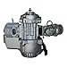 ZXTDR 49cc 2 stroke Engine Motor for Mini Pocket Bike Scooter Dirt Bikes ATV Quad Motorized Bicycle