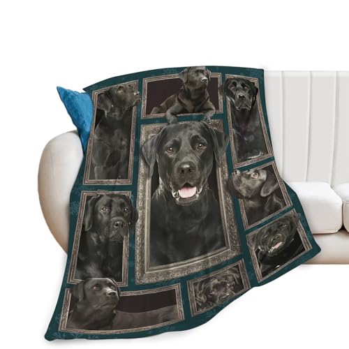 Tijuboni Manta Labrador Retriever para perros, regalos para niñas, niños, mujeres, hombres, adultos, manta de forro polar de franela suave para sofá, cama, decoración del hogar, 40 x 50 pulgadas
