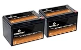Chrome Battery 12V 12AH SLA Rechargeable Replacement Battery for UPS Back Up, Electric Scooter, Wheelchair and Alarm: 5.94 x 3.86 x 3.74, T2 Terminal, Pack of 2