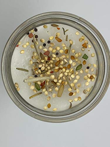 Santa Muerte Juzgado