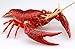 Jiyuu Kenkyuu Series No.24 Living Things Swamp Crayfish (Red) Plastic Model