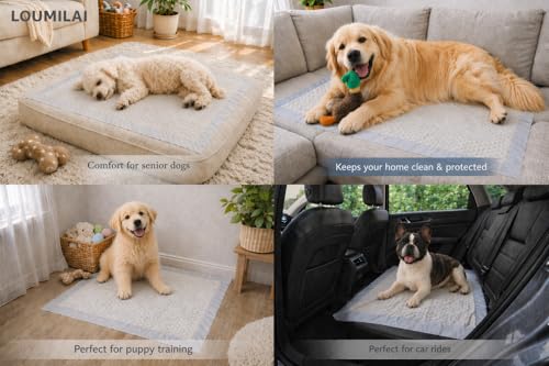 Image of 60 Count X-Large Heavy Duty Dog Pee Pads, 26 inch x 35 inch, Advanced 6-Layer Absorption Core, Leak-Proof, Fast-Drying, Fragrance-Free