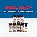 REDMOND Real Salt Seasoning - Natural Unrefined Gluten Free (Organic Onion Salt)