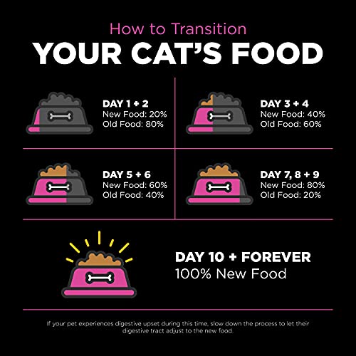 Go! Solutions Skin + Coat Care - Dry Cat Food, 8 Lb - Chicken Recipe With Grains - Cat Food For All Life Stages - With Probiotics #TOP7