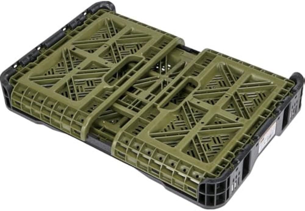 41NJol7IYkL._AC_UF1000,