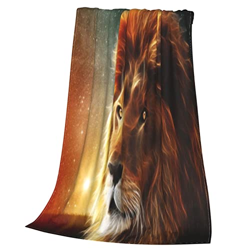 Couverture chaude micro polaire ultra douce pour lit chambre salon - 4
