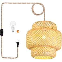 Plug in Pendant Light...