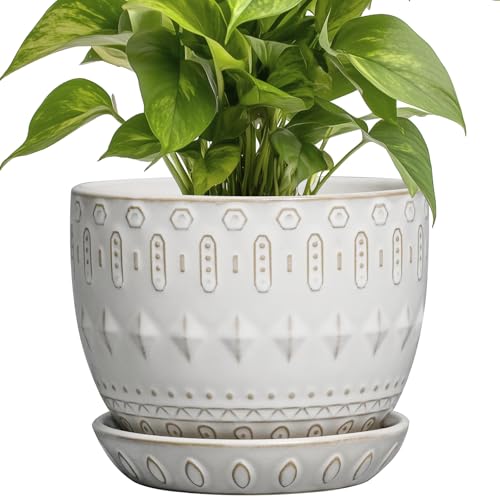 G EPGardening Ceramic Plant Pot - Succulent Pots...