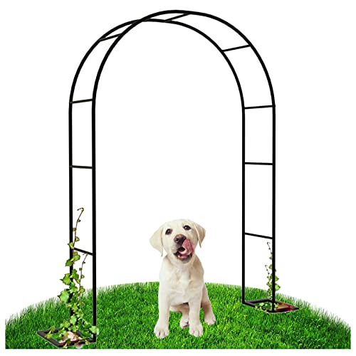 Arche de mariage en métal noir pour décoration de fête et allée fleurie romantique