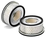 Air Filter AF25221 for Fleetguard