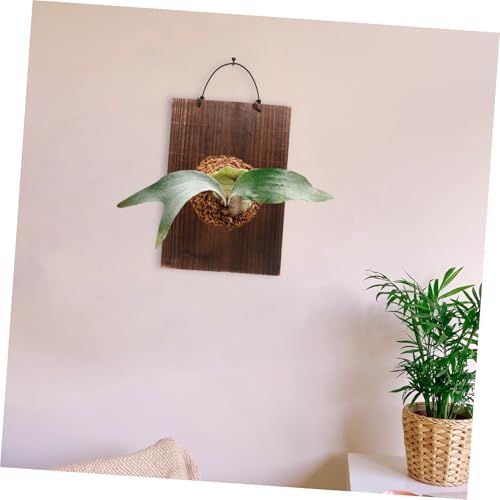 Panneau de jardinage bois naturel pour manque de place - 7