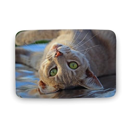 L   oX}bg z/唻 փ}bg  O    ~ Aj LN^[ @}bg   ʏ