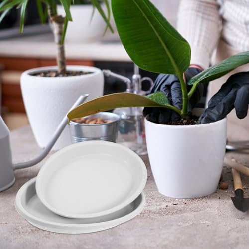 OFFSCH 4 Stück Pflanze Teller Ovale Pflanze Untertassen Kunststoff Wasserfanger Ablage für Innen- und Außenblumentöpfe Topfpflanze