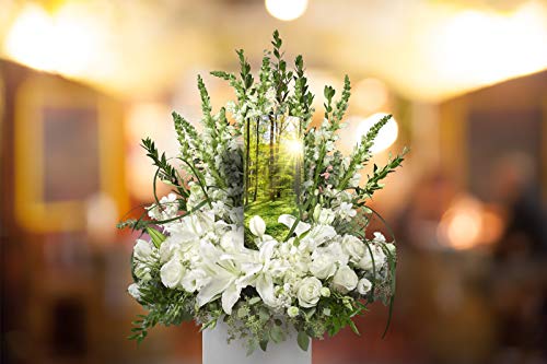 Image of Eco Friendly Emerald Forest Biodegradable Cremation Urns - Adult Ashes Scattering Tube